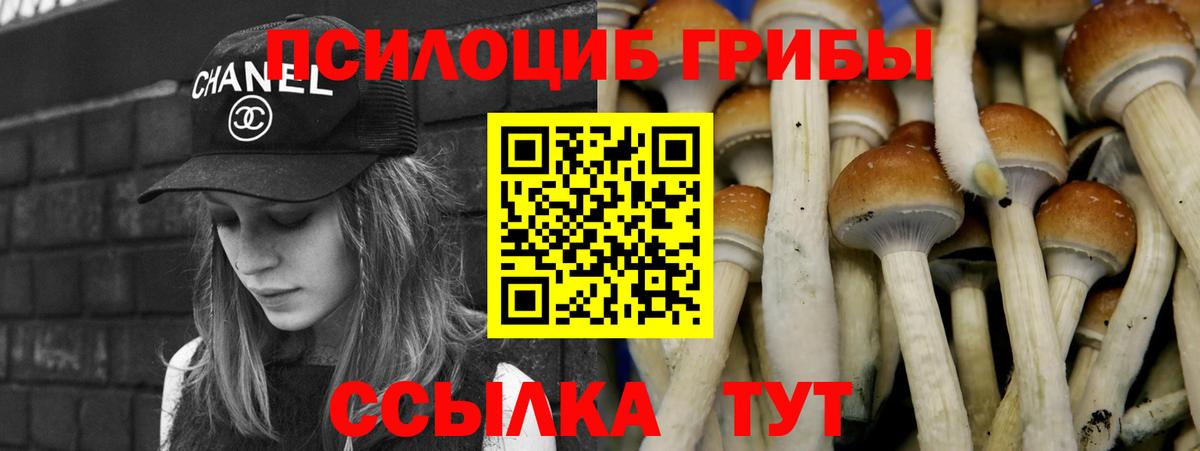 Псилоцибиновые грибы Psilocybe  Вход с VPN  цены   Трёхгорный  Псилоцибиновые грибы Psilocybine cubensis 