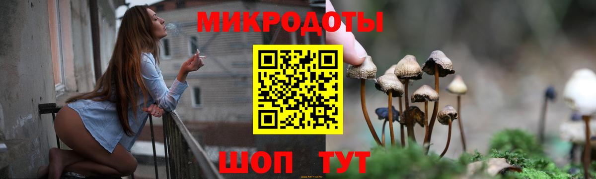 Псилоцибиновые грибы Cubensis Трёхгорный
